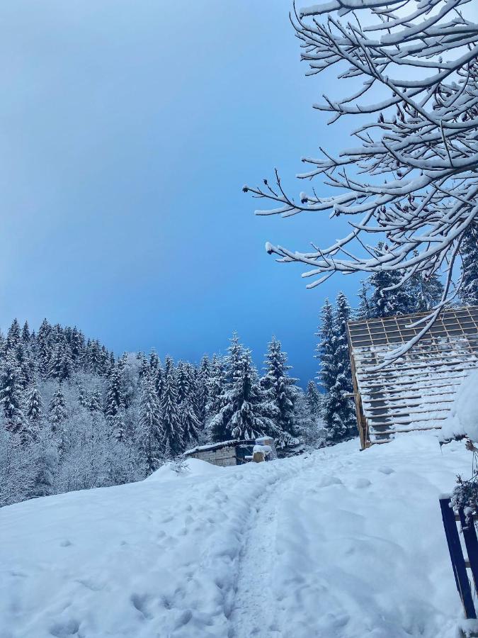 Cabana Green Hill Борша Экстерьер фото