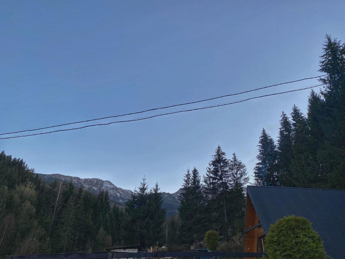 Cabana Green Hill Борша Экстерьер фото